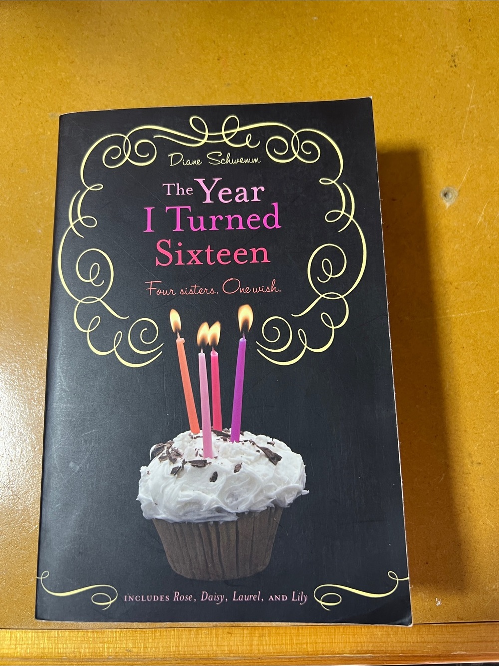 The Year I Turned Sixteen - Pink and Black Paperback